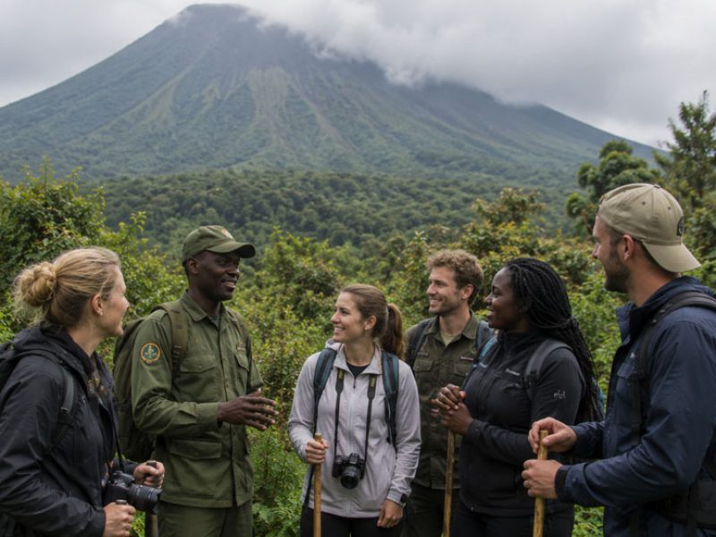6 Days Rwanda Wildlife & Gorilla Safari
