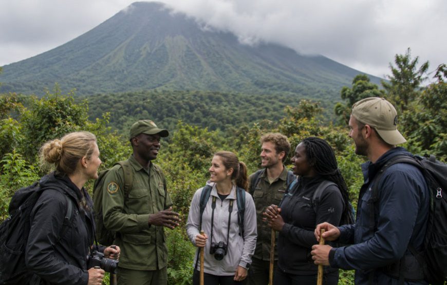6 Days Rwanda Wildlife & Gorilla Safari