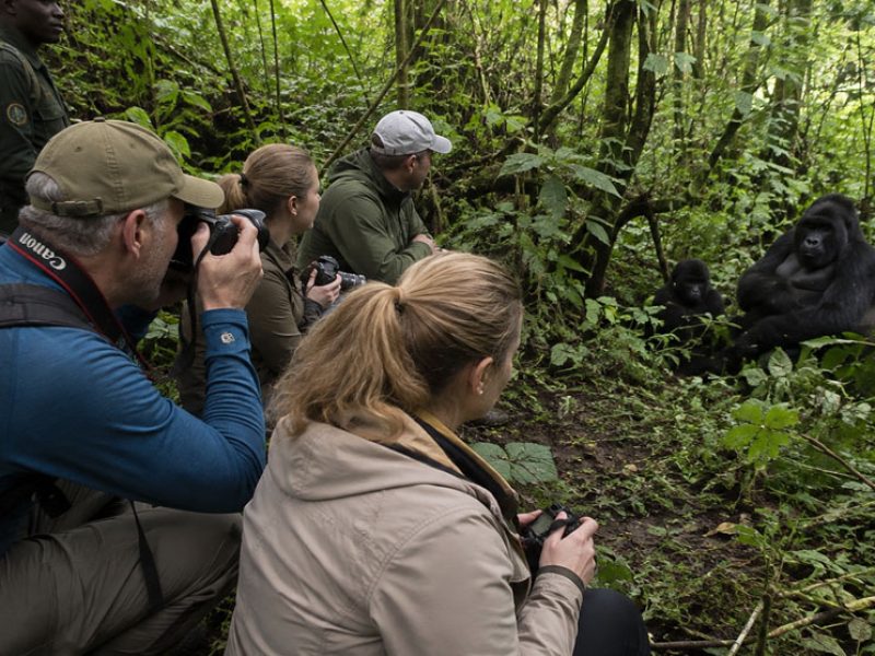 7 Days Uganda Gorilla & Wildlife Safari