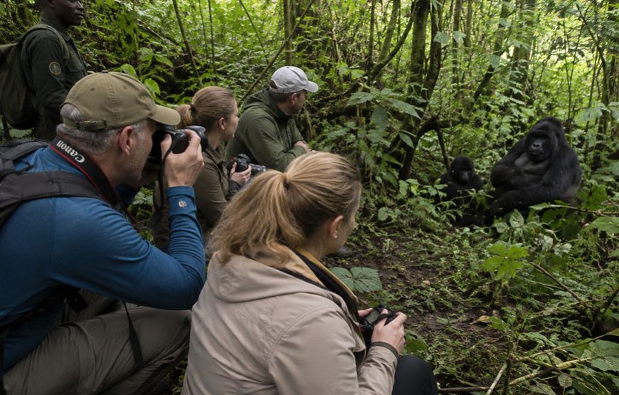 7 Days Uganda Gorilla & Wildlife Safari