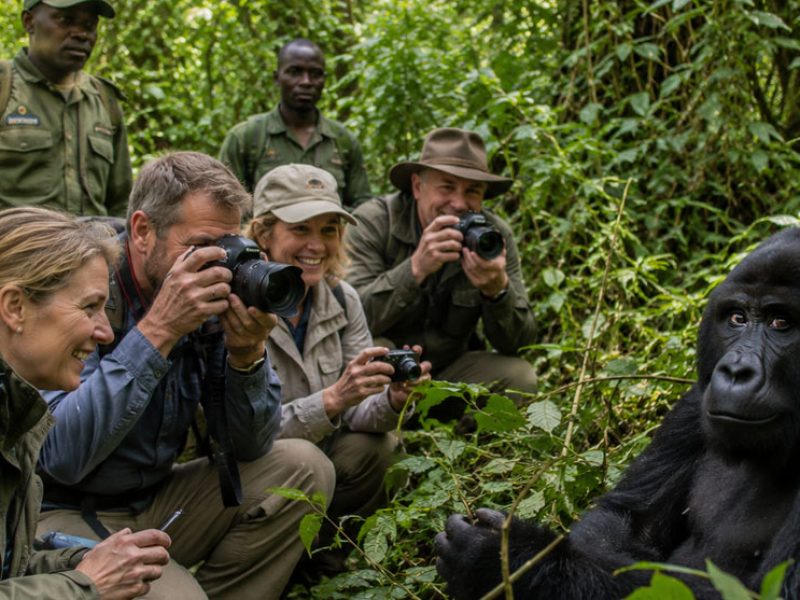 8 Days Uganda Wildlife & Primates Adventure