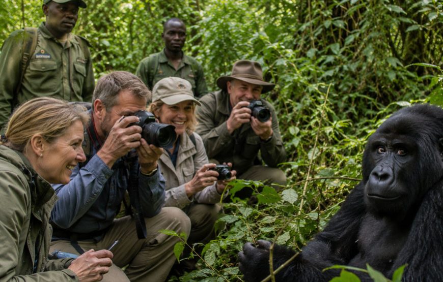 8 Days Uganda Wildlife & Primates Adventure