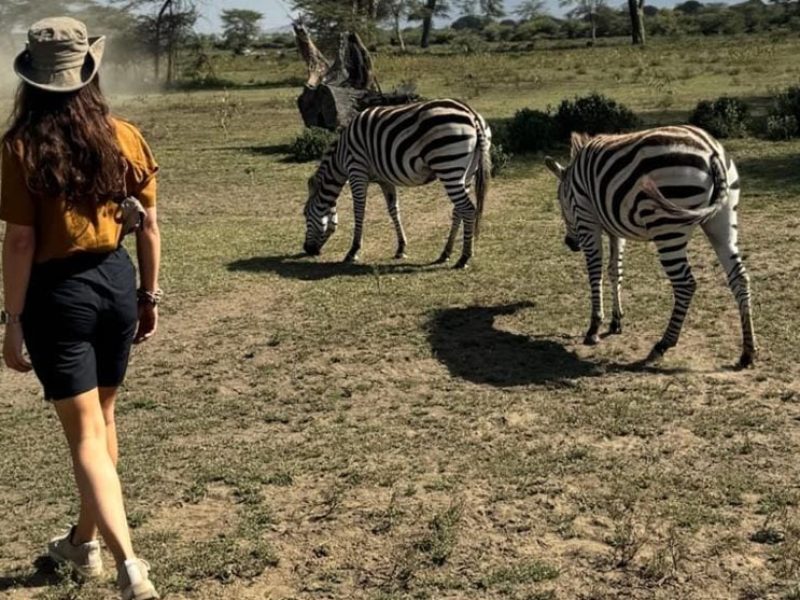 7 Days– Kenya and Tanzania