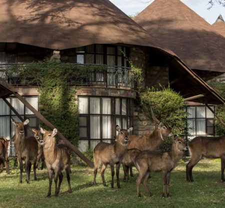 Lake Naivasha Sopa Resort