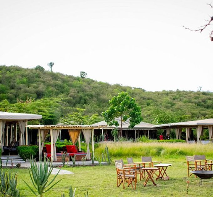 Zebra Plains Mara Camp